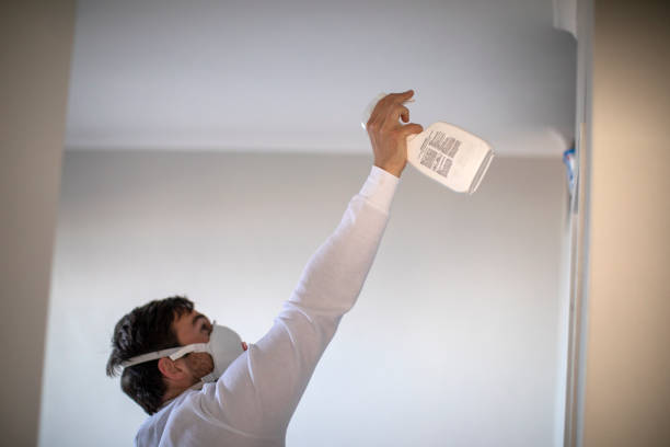 Best Mold Cleaning Services  in Stallings, NC